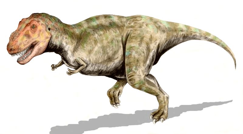 577 t rex. 577-T-Rex